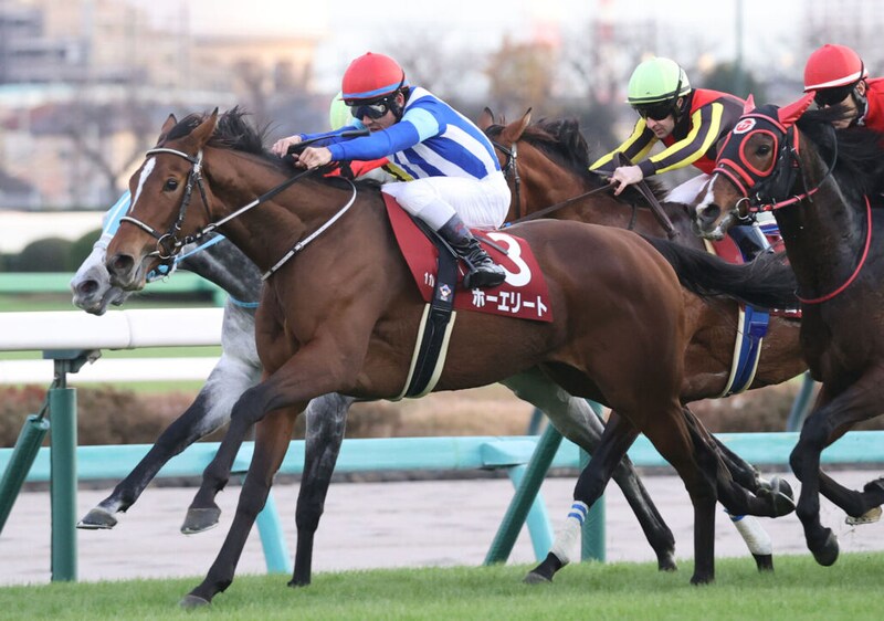 【ダイヤモンドS登録馬】スタミナ自慢集結！ホーエリートなど15頭