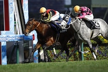 【阪急杯】3連勝中ディアナザールなど18頭