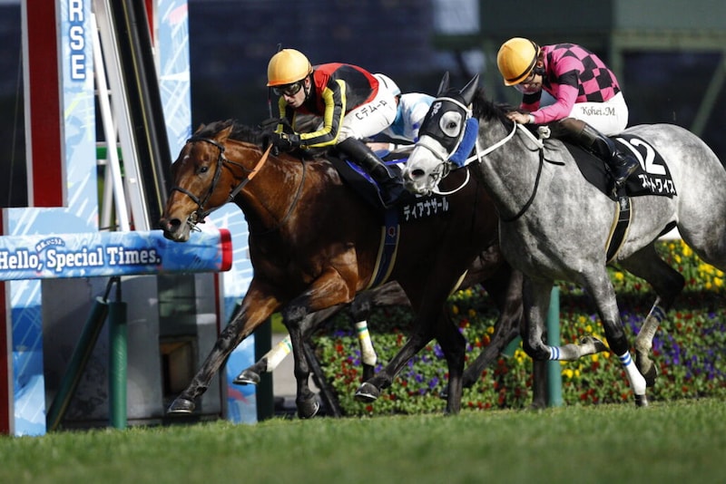 【阪急杯】3連勝中ディアナザールなど18頭