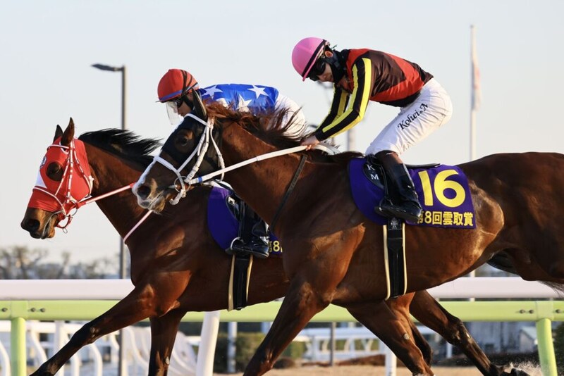 【雲取賞】松山「勝ち馬しぶとくて強かった」トリグラフヒルは追い比べに敗れて2着