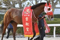 【雲取賞】矢作師「サウジCと同じくらい嬉しい」リアライズグリントが快勝