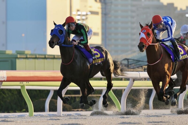 【雲取賞】レース後ジョッキーコメント…笹川「中央交流でもやれる」