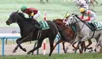 エイシンフェンサーが登録抹消…繁殖入り