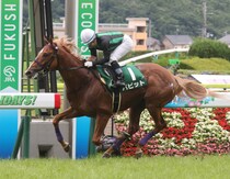 9歳馬バビットが引退…札幌競馬場で乗馬に