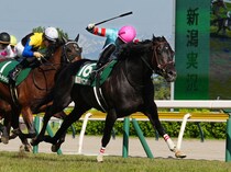 ヤマニンサルバムが地方へ移籍
