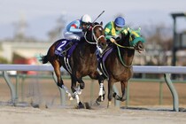 【フェブラリーS】ダブルハートボンドは484kg…出走馬の調教後の馬体重