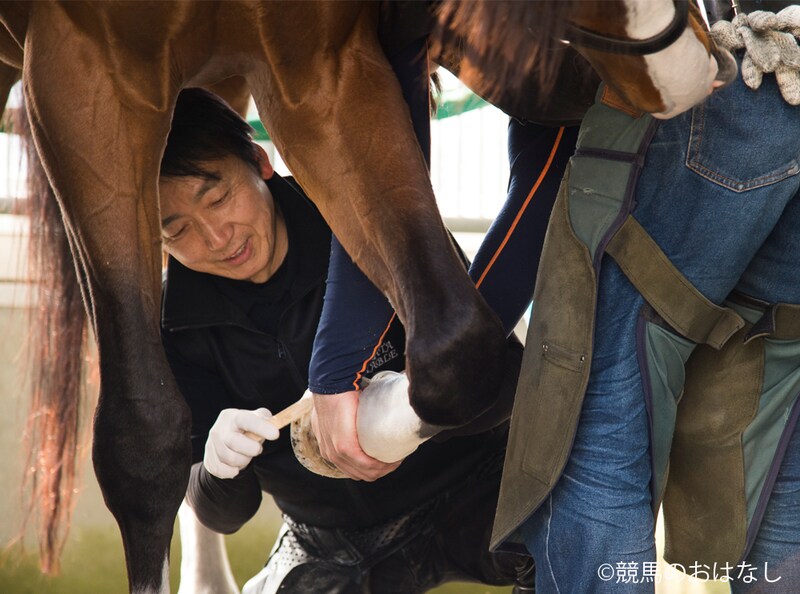 【装蹄師・西内荘コラム】ダブルハートボンド、牝馬初の戴冠なるか…ダートG1フェブラリーS開幕