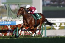 【阪急杯】ソンシが人気に応える…3馬身半差完勝