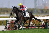 【阪神6R】5億円ホースのサガルマータが初勝利