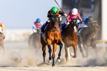 【フェブラリーS】コスタノヴァが連覇達成…1番人気ダブルハートボンドは3着