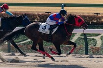 【東京1R】R.キング騎乗 アトミックブレスが快勝