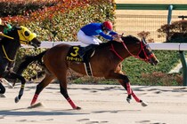 【ヒヤシンスS】7番人気伏兵ラッキーキッドが快勝…ホリエモンの愛馬イッテラッシャイは3着