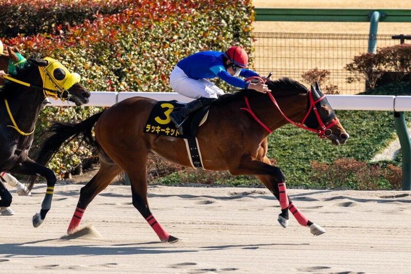 【ヒヤシンスS】7番人気伏兵ラッキーキッドが快勝…ホリエモンの愛馬イッテラッシャイは3着