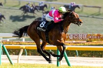 【JCベストレース記念】R.キングが今年の16勝目…サクラファレルで完勝