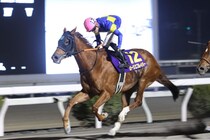 【高知・レジーナディンヴェルノ賞】大井ローリエフレイバーが重賞4勝目