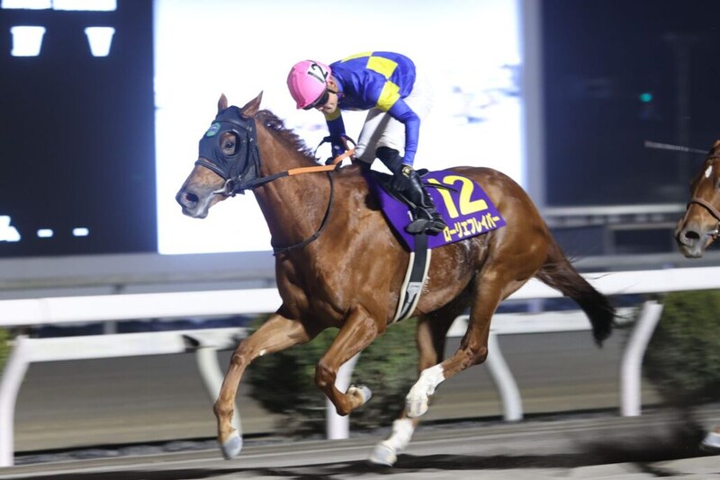 【高知・レジーナディンヴェルノ賞】大井ローリエフレイバーが重賞4勝目