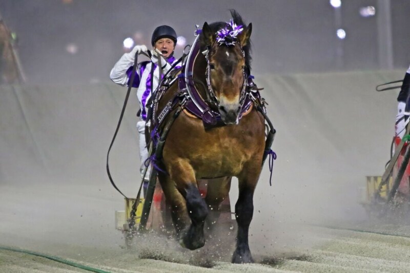 【ばんえい・チャンピオンカップ】メムロボブサップが重賞26勝目…重賞最多勝利数＆通算収得賞金記録更新