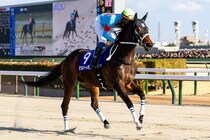 【フェブラリーS】1番人気ダブルハートボンドは3着…坂井瑠「改めて力を感じた」レース後ジョッキーコメント