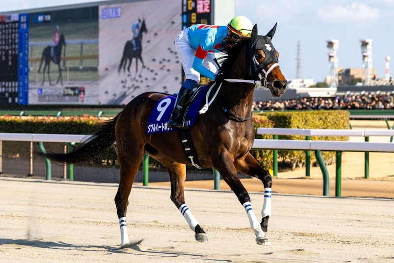 【フェブラリーS】1番人気ダブルハートボンドは3着…坂井瑠「改めて力を感じた」レース後ジョッキーコメント