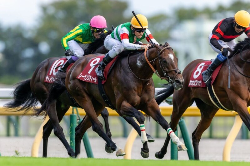 【中山記念登録馬】重賞4勝レーベンスティールなど17頭
