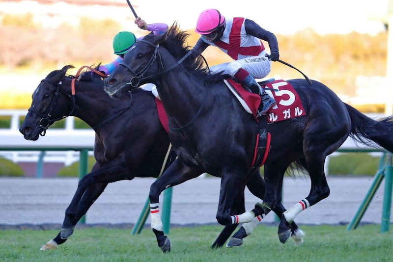 【オーシャンS登録馬】高松宮記念前哨戦にルガルなど18頭