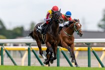 英ダービーに日本馬が登録
