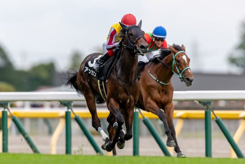 英ダービーに日本馬が登録