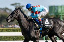 【水仙賞】ノーブルサヴェージがデビュー2連勝