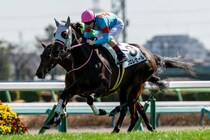 【中山6R】レイデオロ産駒 フロレセールが断然の支持に応える