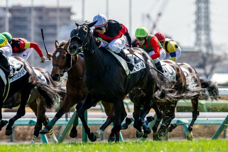【中山5R】セットエトワールが人気に応え初勝利