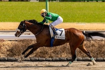 【中山4R】国枝師ラストデーにV…ルメールガッツポーズでゴール