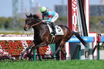 【阪神6R】コントレイル産駒 コンジェスタスがデビュー2連勝