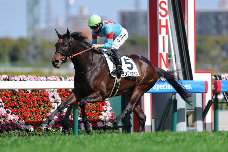 【阪神6R】コントレイル産駒 コンジェスタスがデビュー2連勝