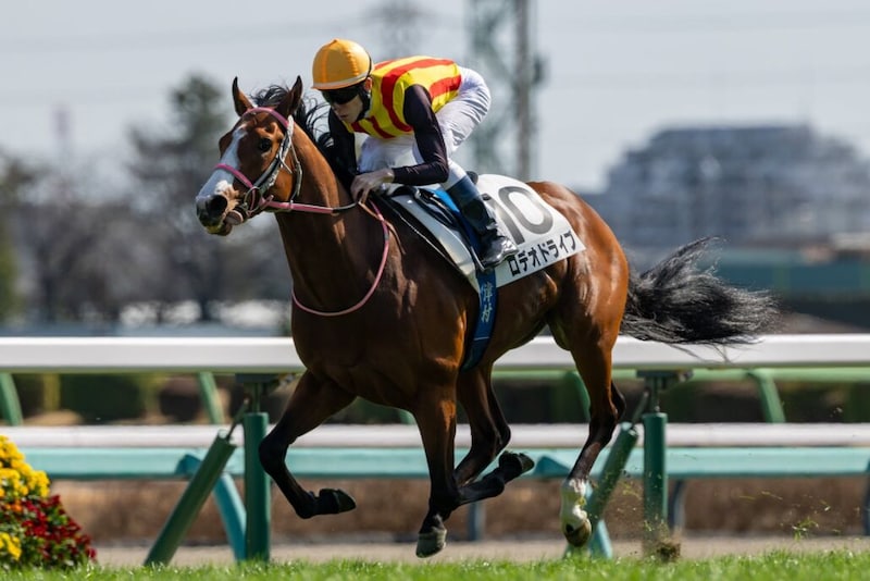 【中山7R】ロデオドライブがデビュー2連勝