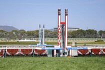 【阪神8R】単勝1.6倍レベルスルールが断然の支持に応える