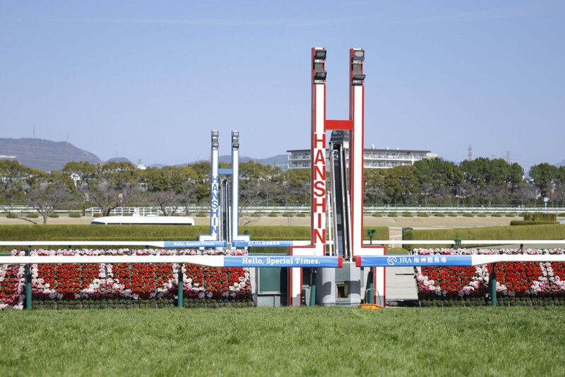 【阪神8R】単勝1.6倍レベルスルールが断然の支持に応える