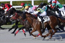 【阪神12R】武豊ボディブローがハナ差競り勝つ