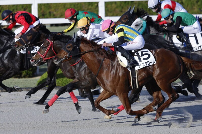 【阪神12R】武豊ボディブローがハナ差競り勝つ