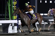 【高知・御厨人窟賞】ブービー人気のジョウショーホープが大金星！3連単510万円超の大波乱