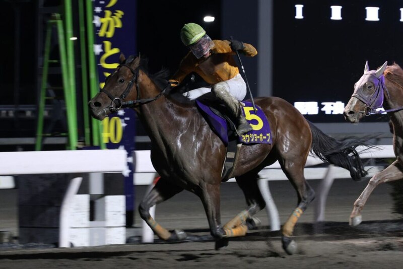 【高知・御厨人窟賞】ブービー人気のジョウショーホープが大金星！3連単510万円超の大波乱