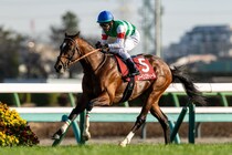WIN5は2181票的中と堅調…第100回中山記念はレーベンスティールがV