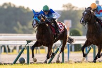 【弥生賞登録馬】アドマイヤクワッズなど12頭