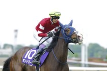 【中山牝馬S登録馬】混戦必至のハンデ戦！ボンドガールなど18頭