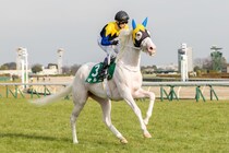 【フィリーズレビュー登録馬】白毛馬マルガなど28頭