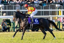 【武豊日記】桜花賞につながる走り