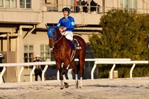 【ダイオライト記念】ナルカミなどJRA馬4頭