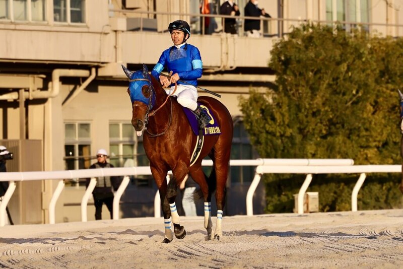 【ダイオライト記念】ナルカミなどJRA馬4頭