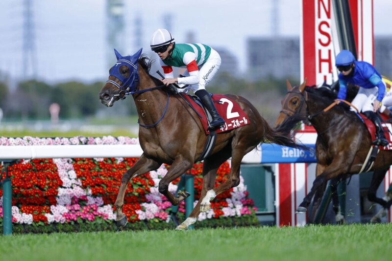 【フィリーズレビュー】10番人気ギリーズボールが鮮やか差し切り！重賞初制覇