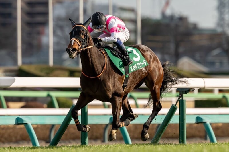 【中山牝馬S】6番人気エセルフリーダが混戦断つ…重賞初制覇