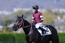 【阪神4R】コントレイル産駒 カットソロが初勝利